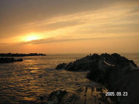 s_pict0017.jpg